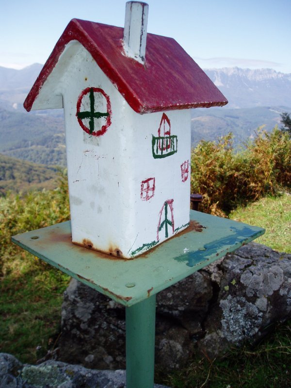 Buzoia