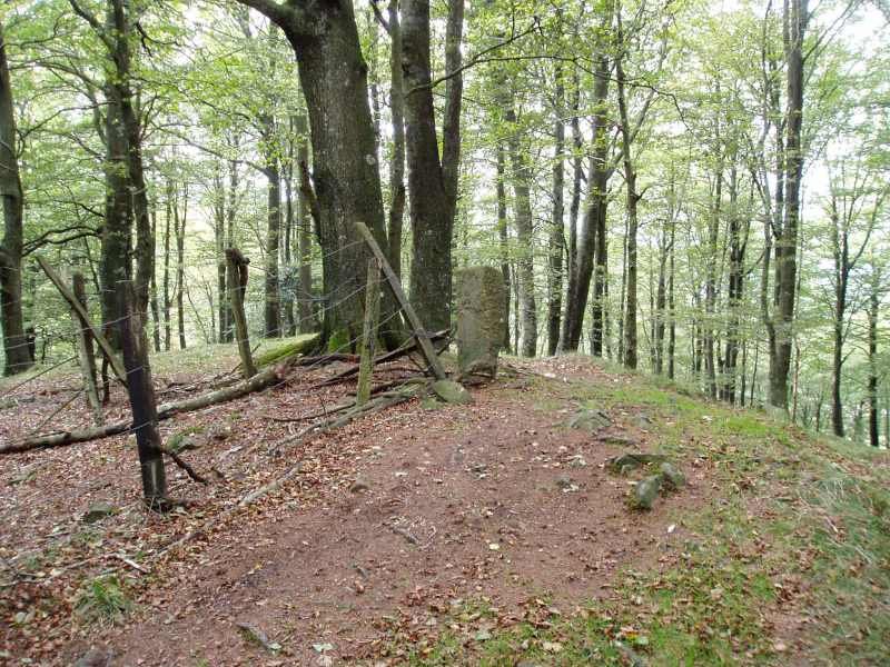Tontorra