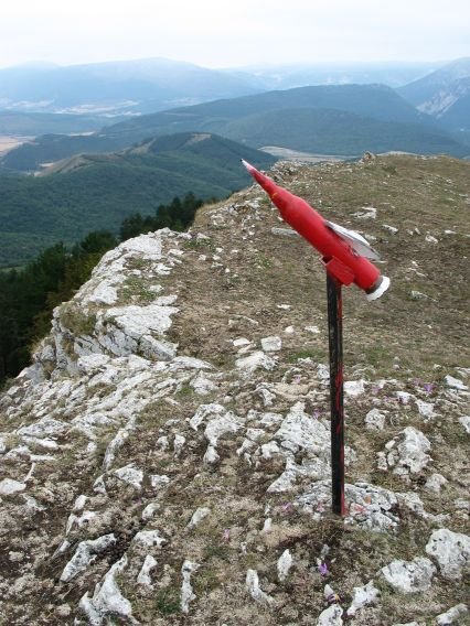 Buzoia