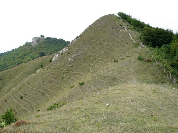Erdiko muinoa