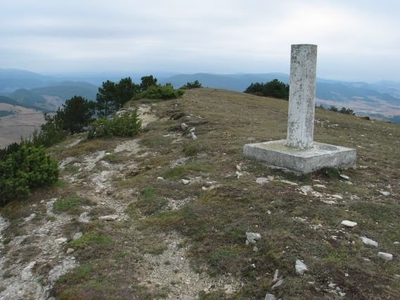 Erpin geodesikoa