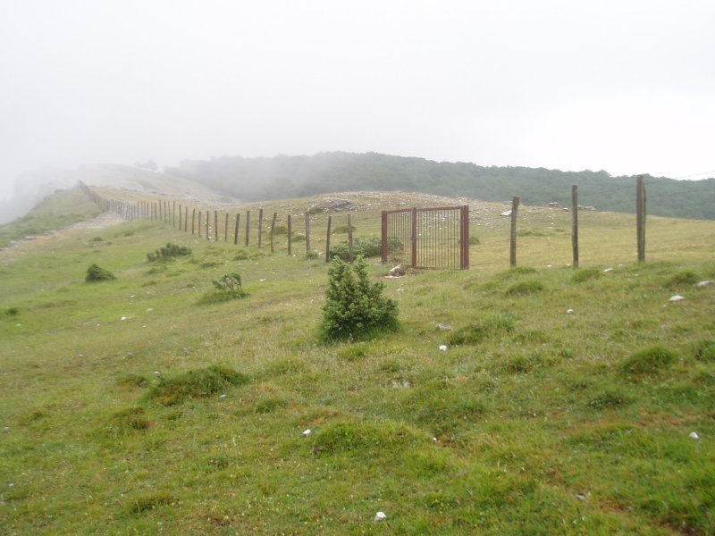 Etxarriko portua