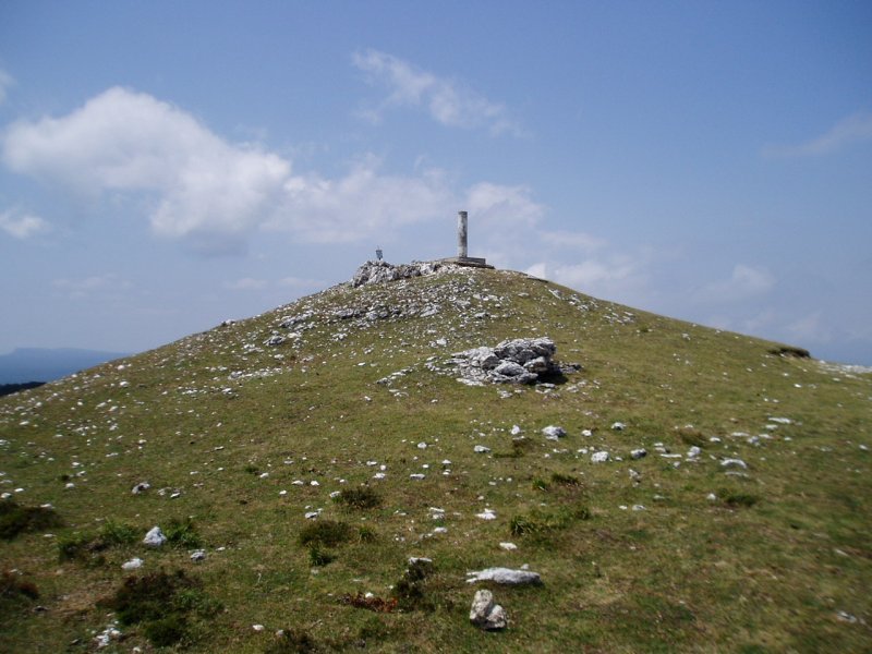 Tontorra