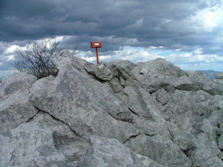 TONTORRA