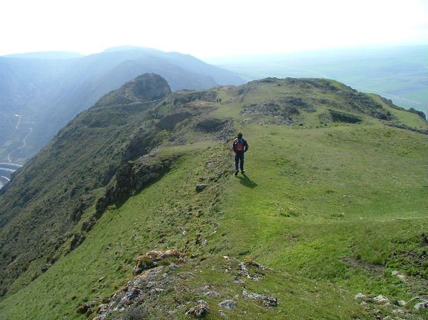 TONTORRA