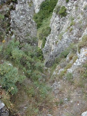 Canal de subida