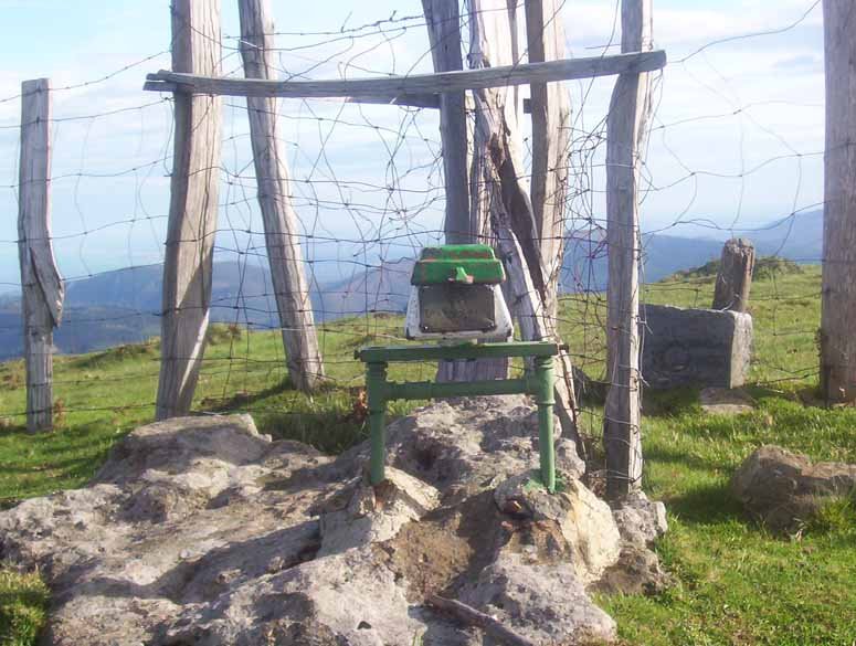 Erengako buzoia