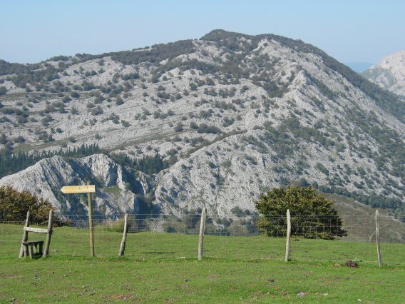 Saibitik ikusita