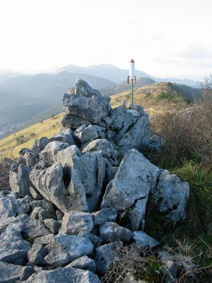 Tontorra