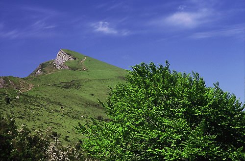 Ganeko