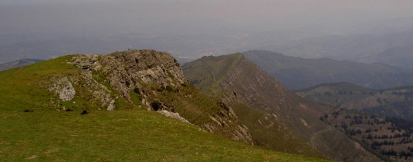 Cordal