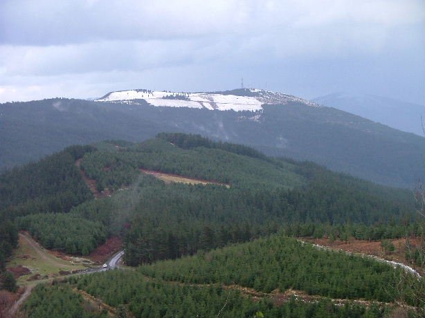 DESDE KOLITZA