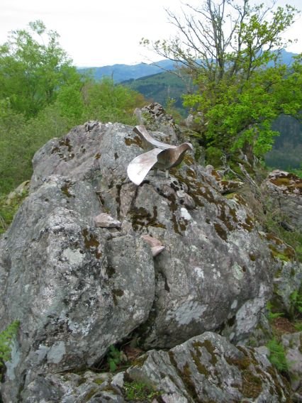 Buzoia eta tontorra