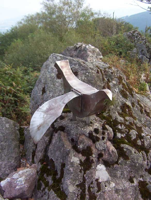 Buzoia