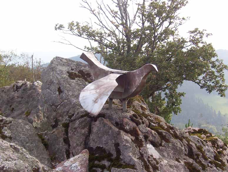 Buzoia