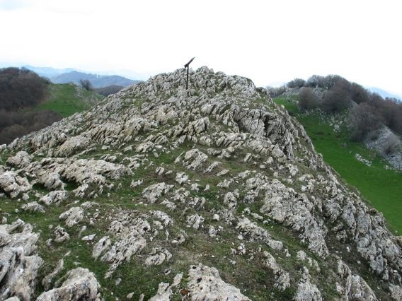 Buzoia eta tontorra