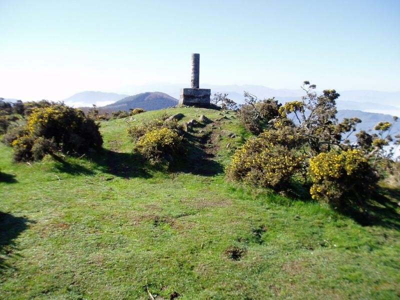 Tontorra