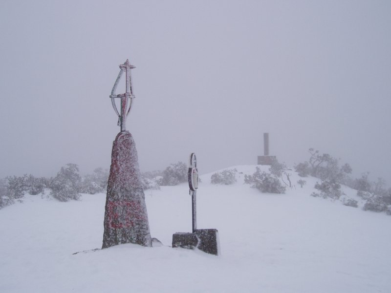 Tontorra