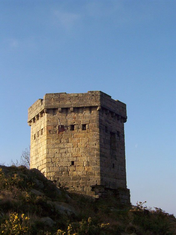 Bigarren Dorrea