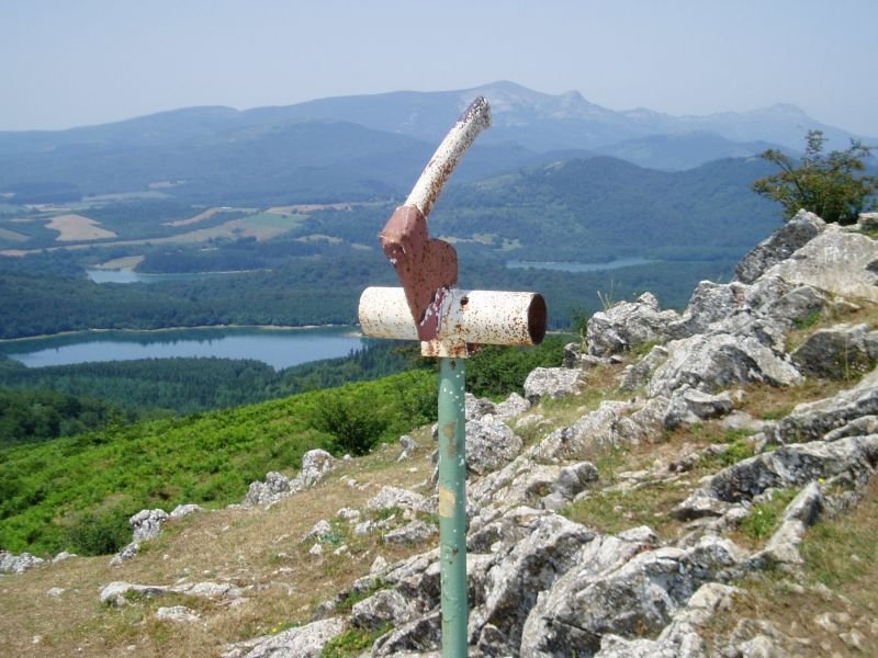 Buzoia