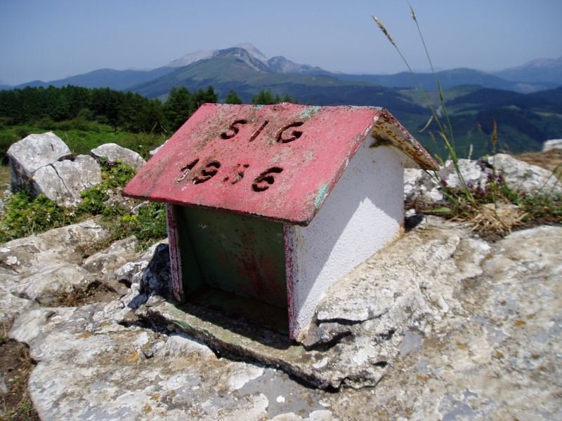 Buzoia