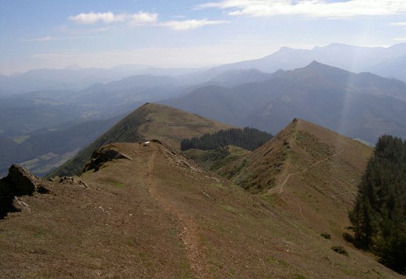 Cordal