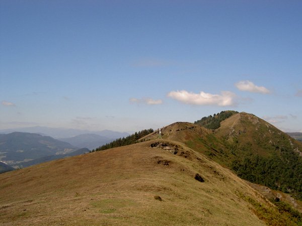 Cordal 