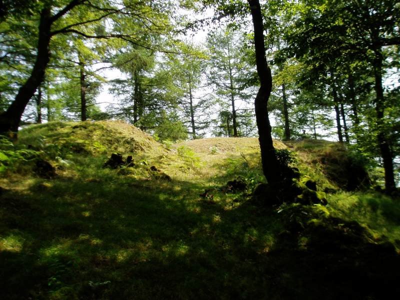 Tontorra