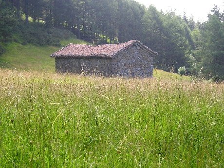 bidean