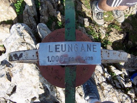 Leungane