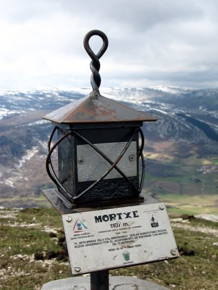 Buzoia