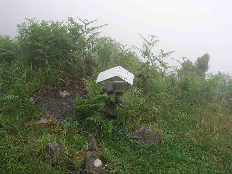 Buzoia