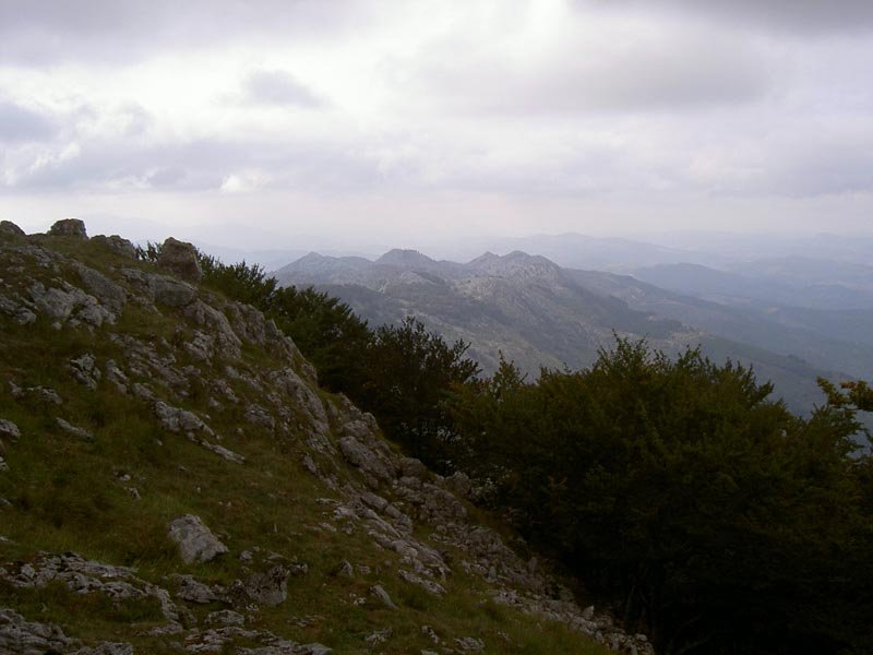Aramotz