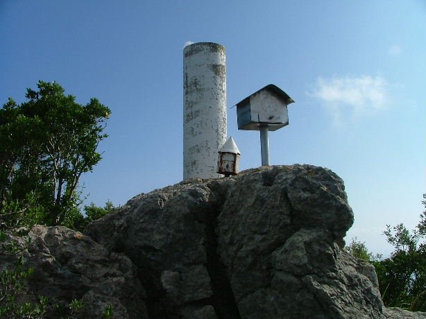 TONTORRA