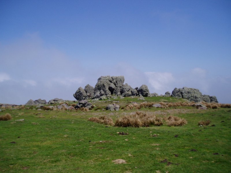 Tontorra