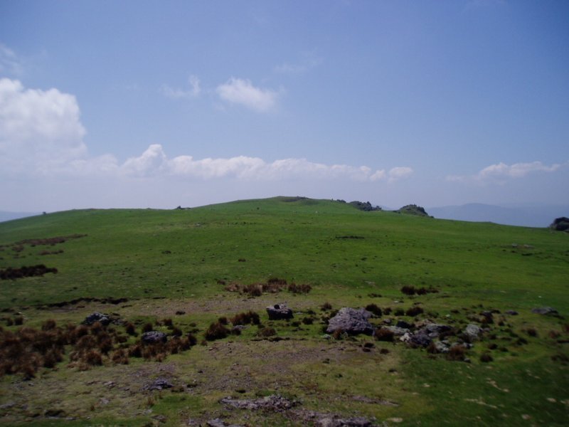 Tontorreko lautada
