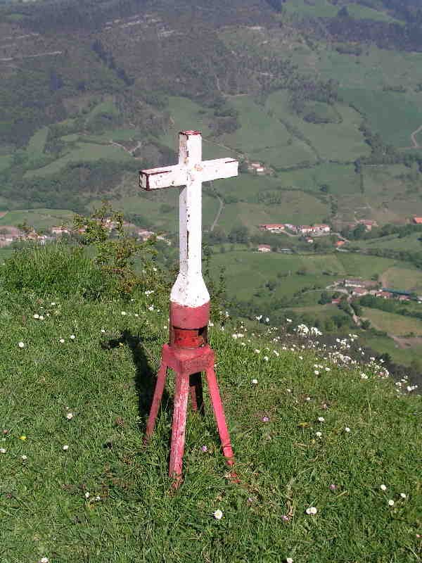 Buzoia