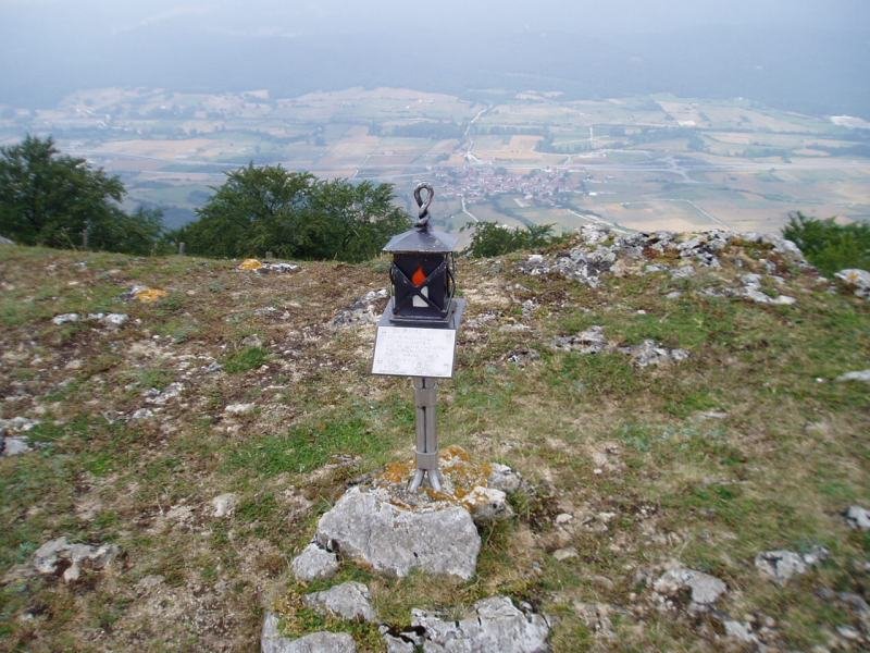 Buzoia