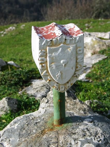 Buzoia