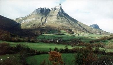 Tologorri