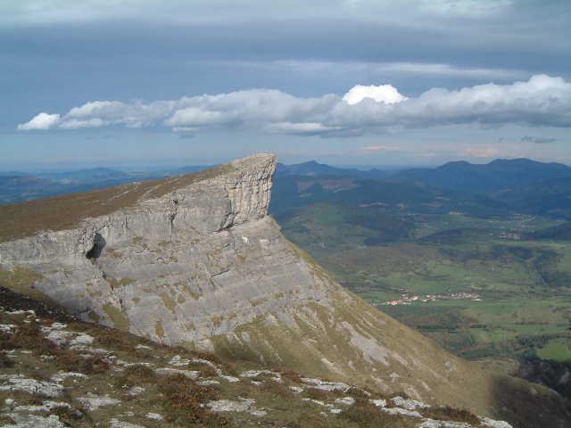 ungino