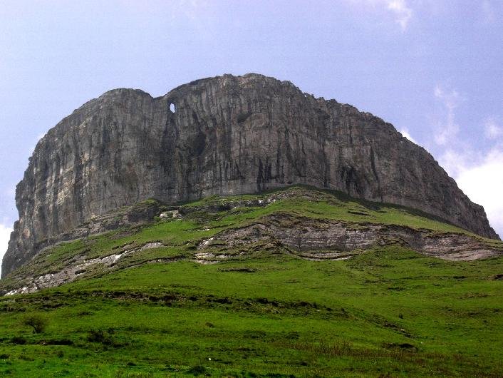 Ungino