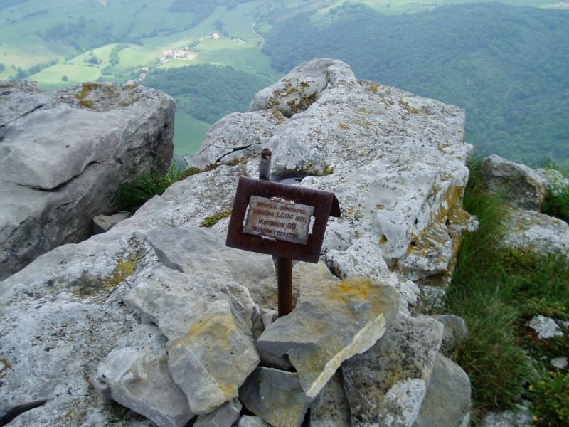 Buzoia