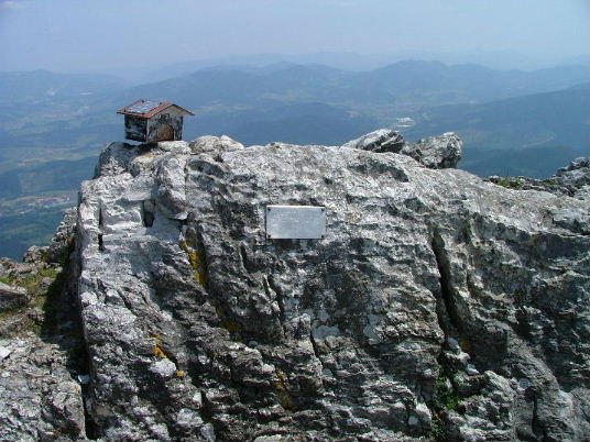 BUZOIA