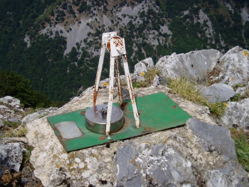 Buzoia