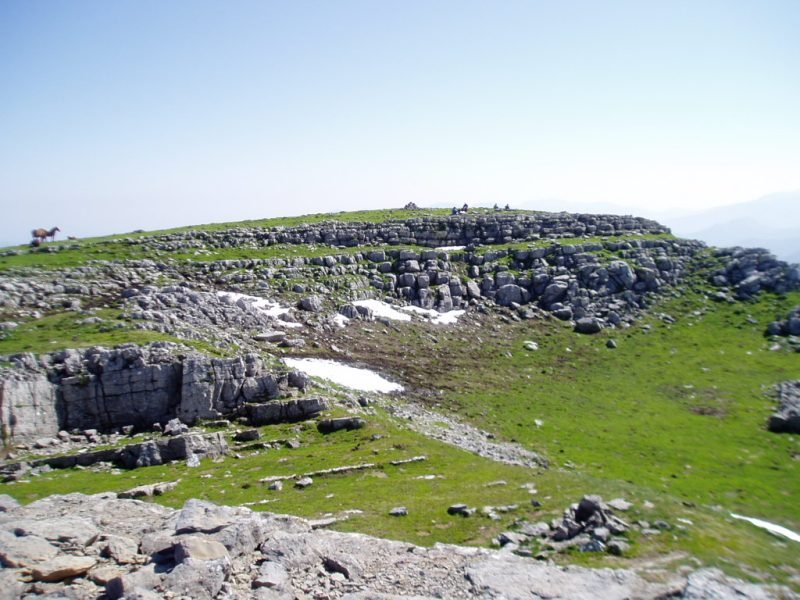 Tontorra