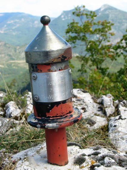 Buzoia