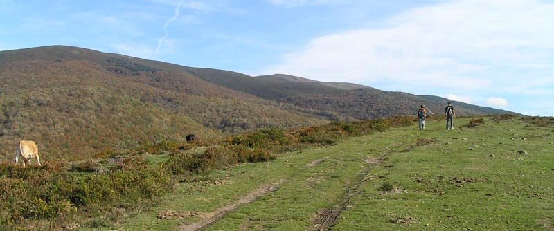 Camino