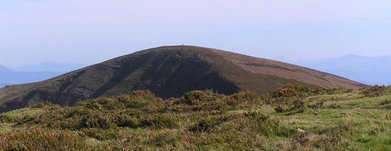 cima