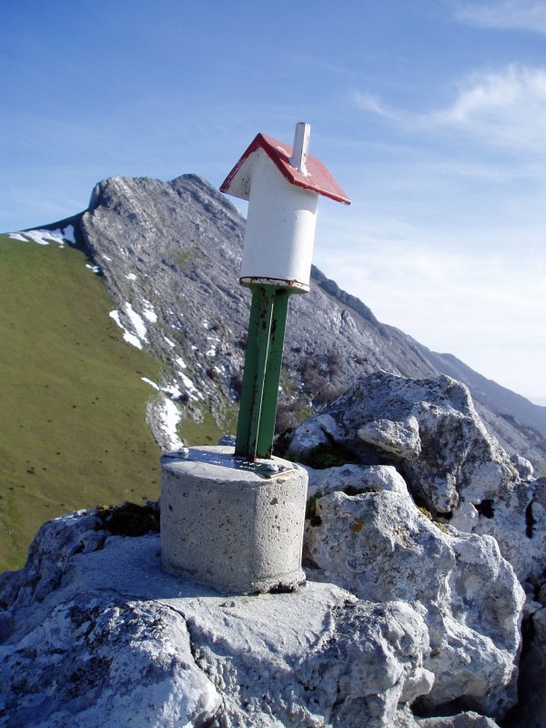 Lekunberriko buzoia